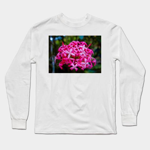 Hot Pink Tropical Cluster Long Sleeve T-Shirt by bobmeyers